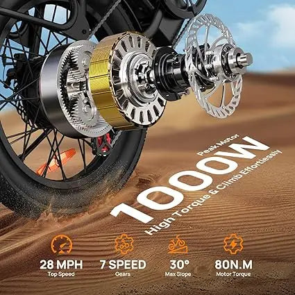 URLIFE 1000W E20 Electric Bike 48V 13Ah Battery 20X3 Fat Tire Dual Disc Brakes