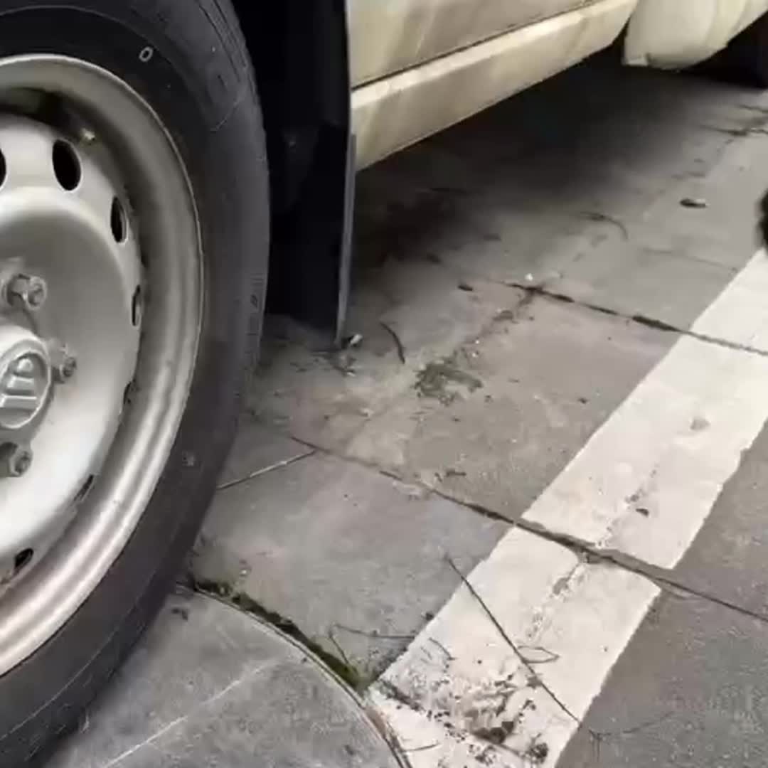 Cordless Impact Wrench 21V 1500Nm Torque Half Inch Drive With 2 Batteries Case